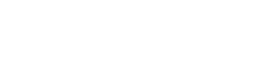 Ville de Lyon Logo